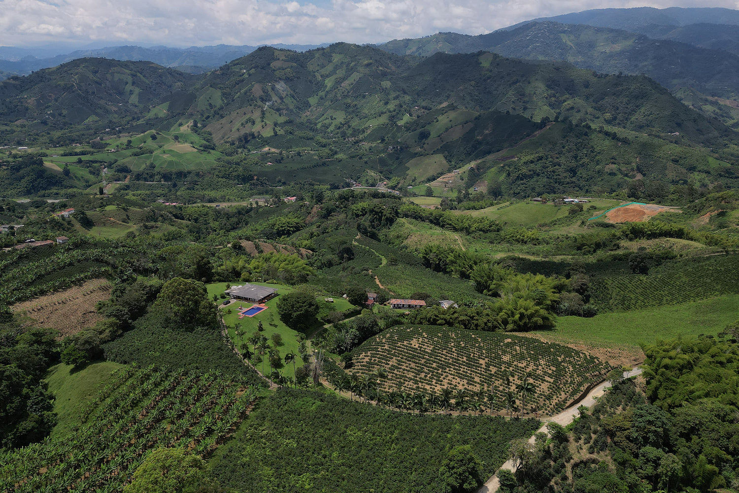 Kolumbianische Kaffeefarm CALDAS Coffee