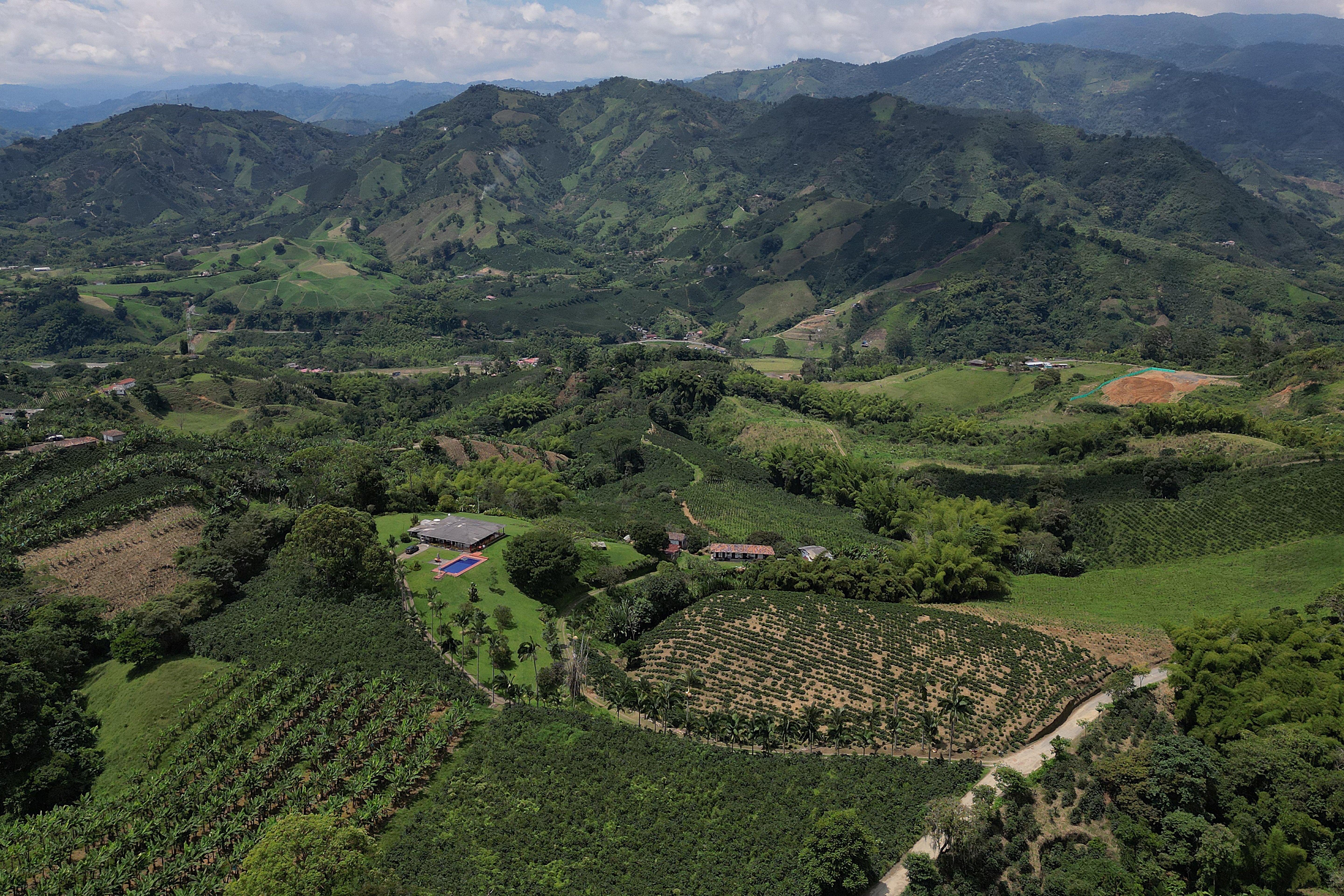 Kolumbianische Kaffeefarm CALDAS Coffee