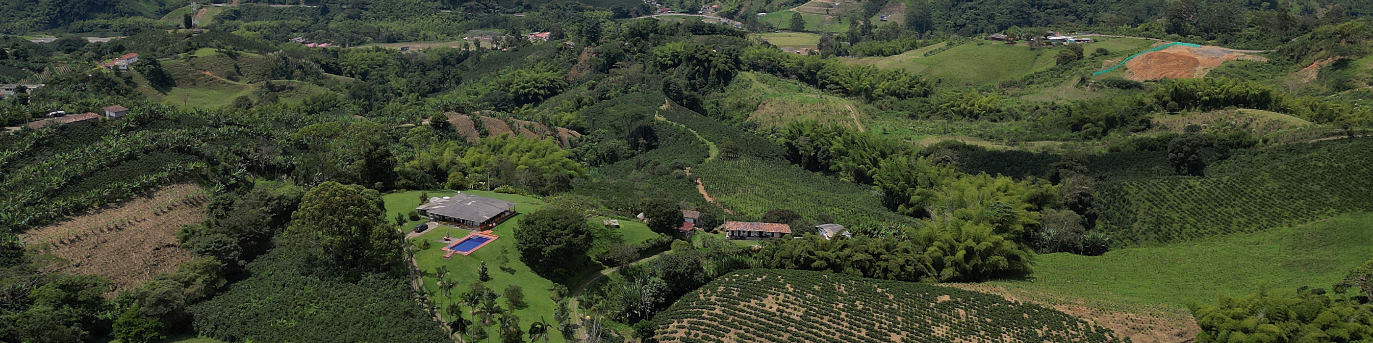 Weitläufige Panoramaaufnahme der Finca Santa Isabel mit einem Haupthaus, Swimmingpool und umgeben von grünen Kaffeefeldern, Bananenstauden und üppigem Hochland.
