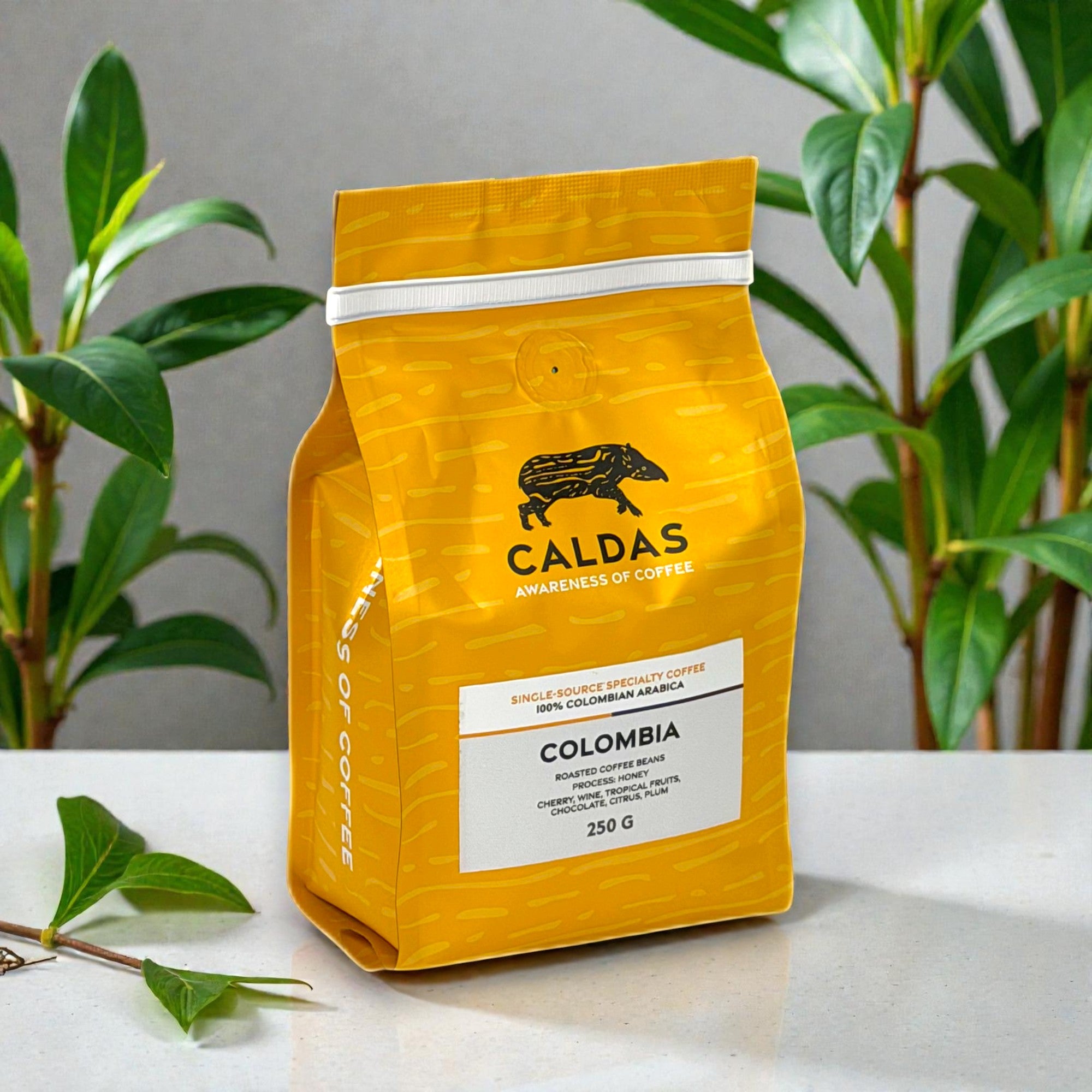 CALDAS Coffee Spezialitätenkaffee French Press Bodum