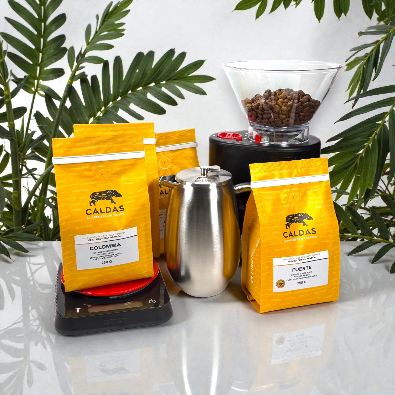 CALDAS Coffee Spezialitätenkaffee French Press Bodum