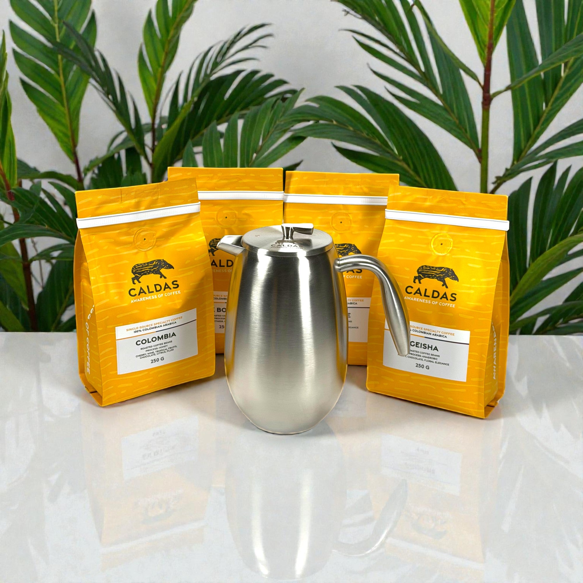 CALDAS Coffee Spezialitätenkaffee French Press Bodum