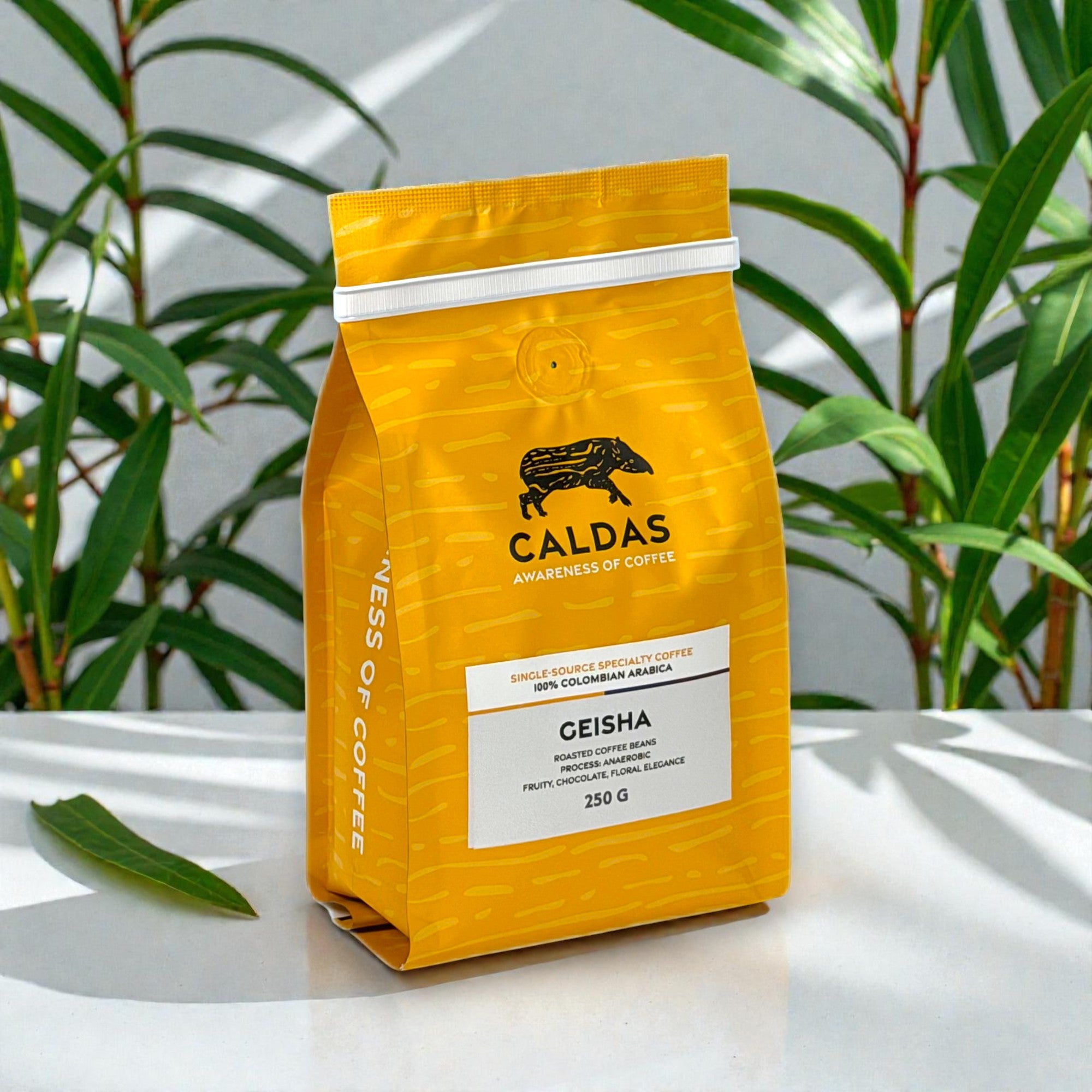 CALDAS Coffee Spezialitätenkaffee French Press Bodum