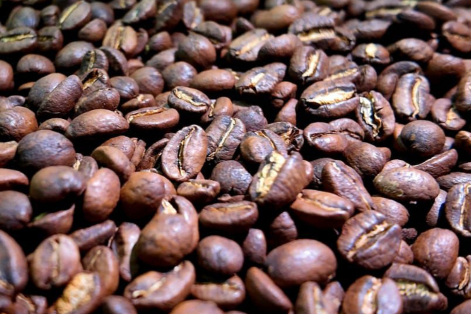 Kaffee & Gesundheit – 5 spannende Fakten