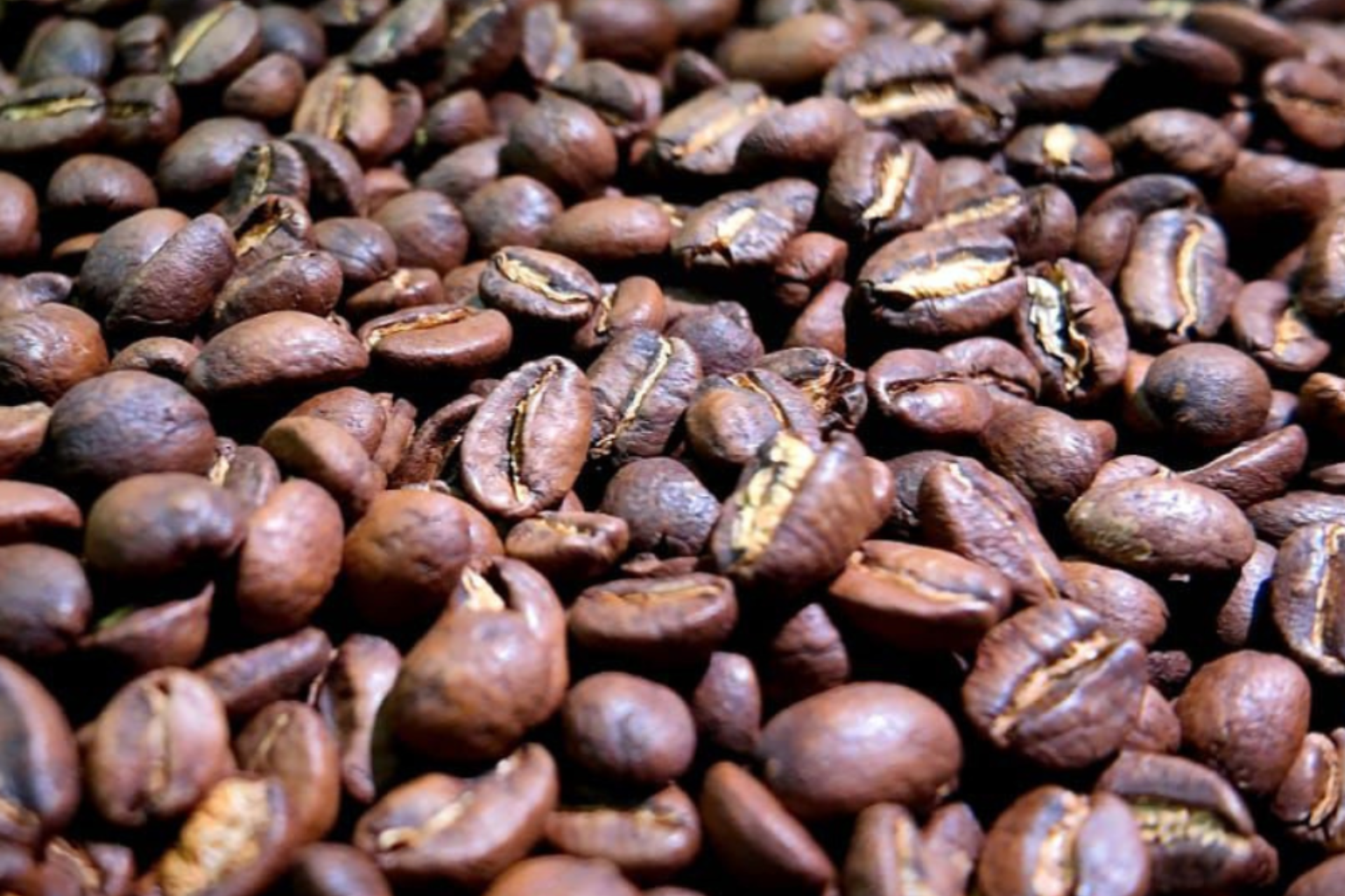 Kaffee & Gesundheit – 5 spannende Fakten