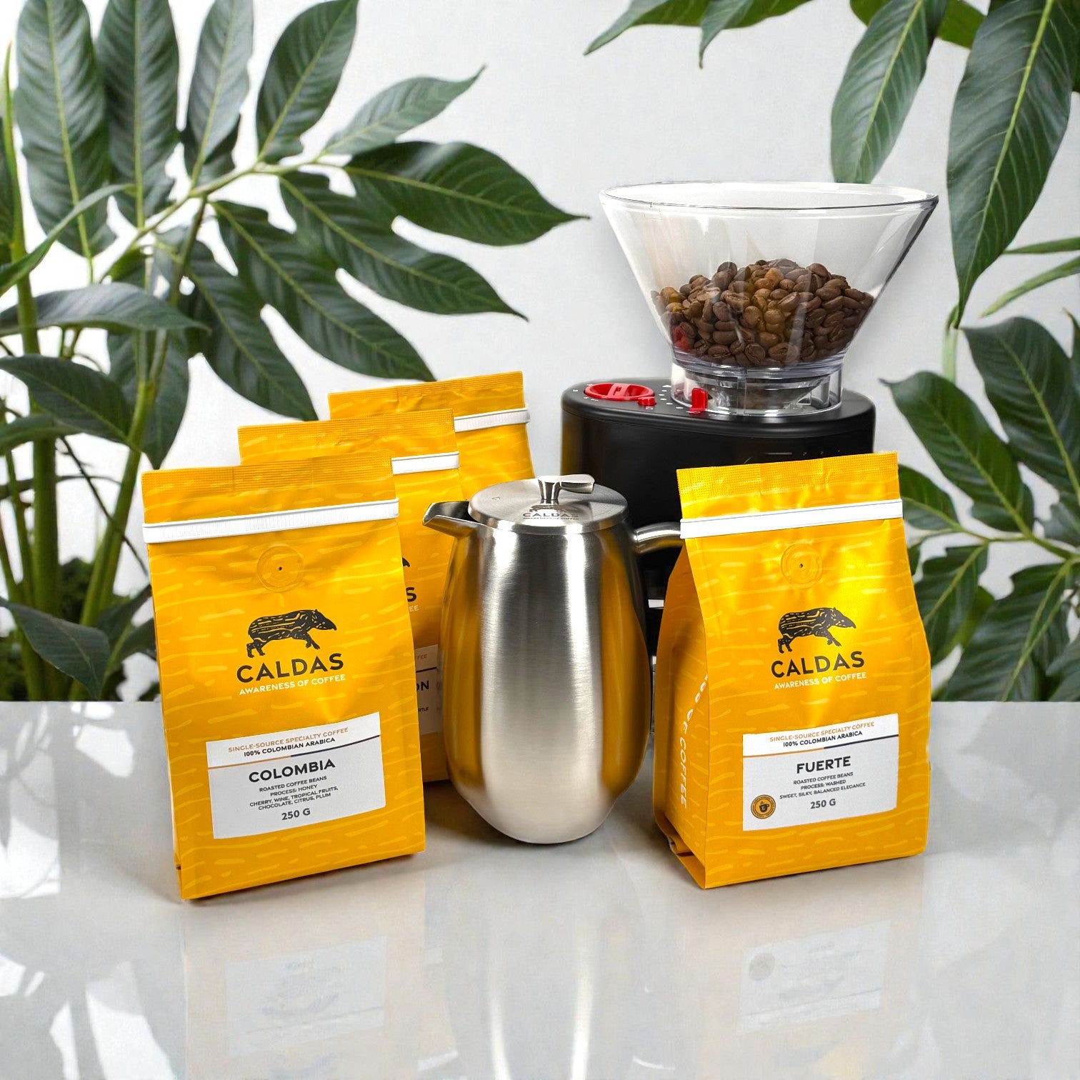 CALDAS Coffee Spezialitätenkaffee French Press Bodum