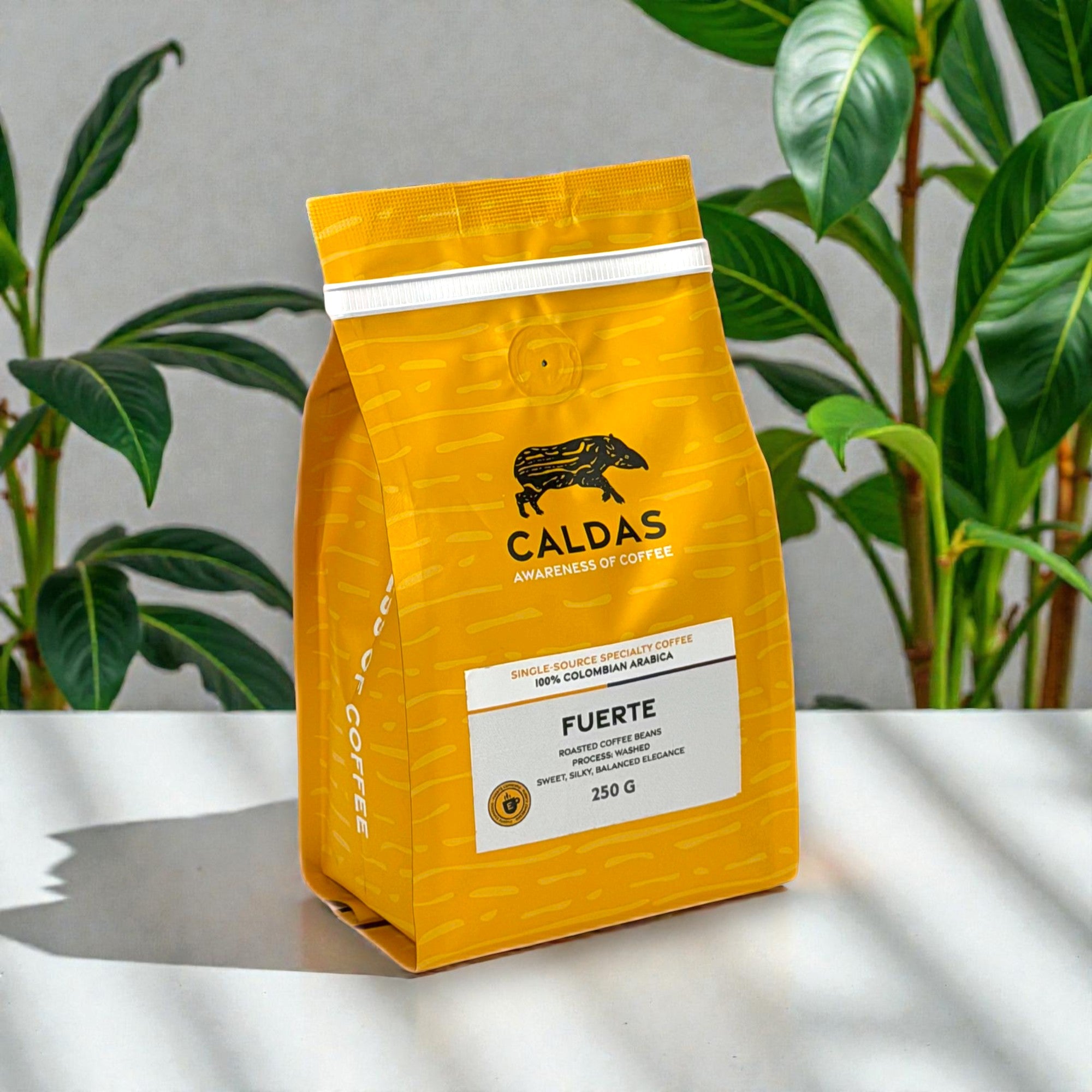 CALDAS Coffee Spezialitätenkaffee French Press Bodum