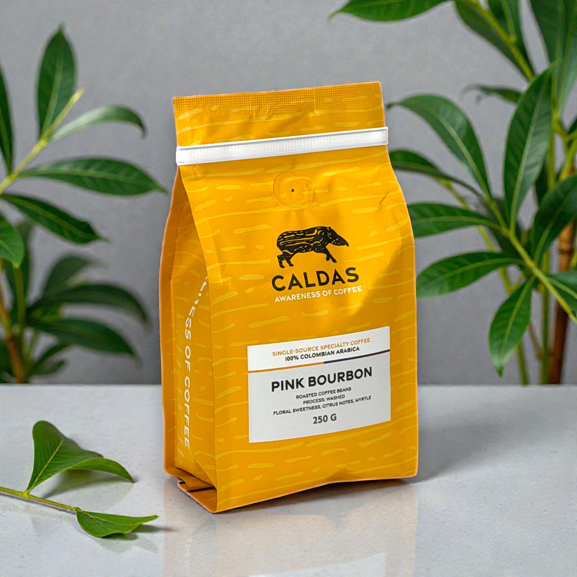 CALDAS Coffee Spezialitätenkaffee French Press Bodum