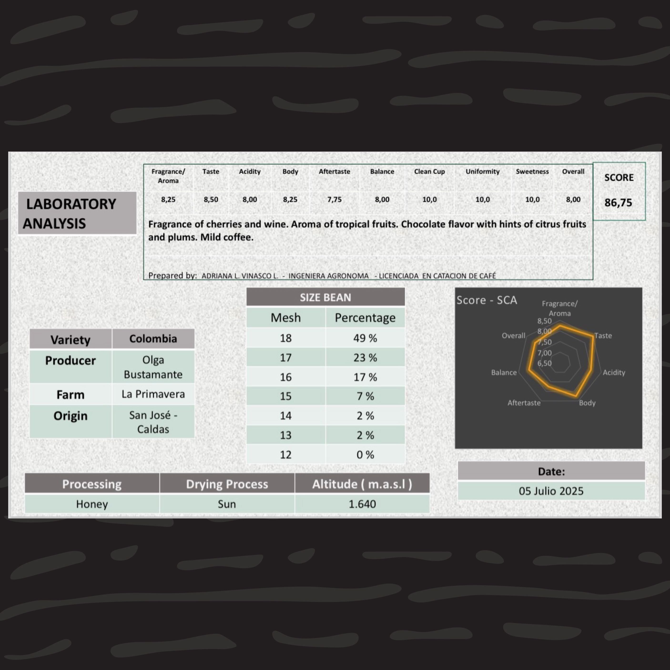 Colombia Honey – Süsse und Struktur | Spezialitätenkaffee